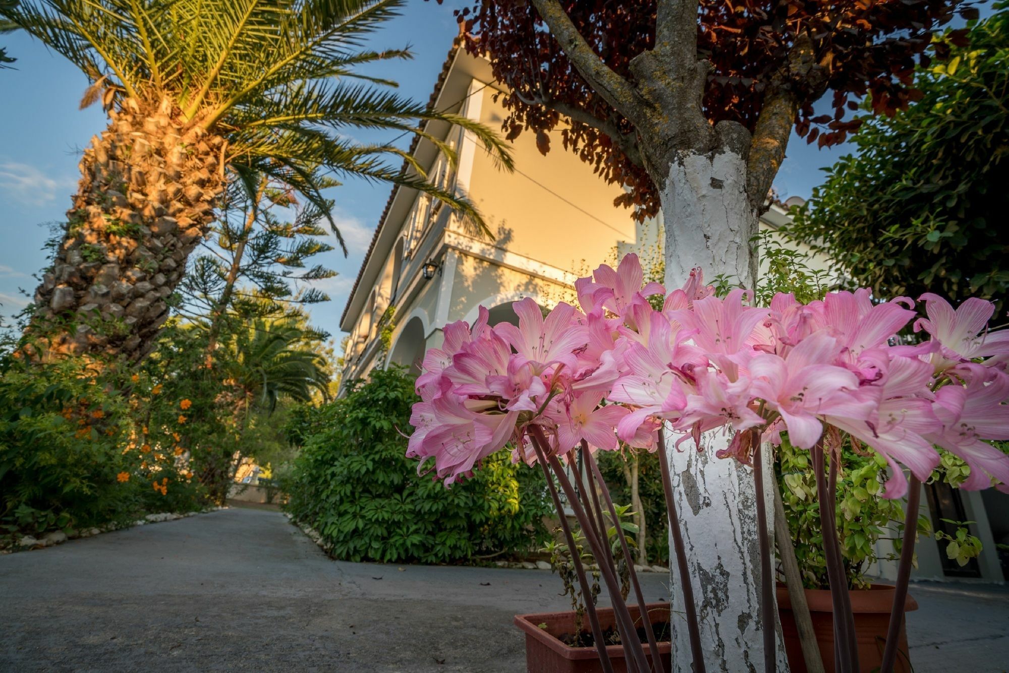 Tota Studios Tsilivi  Bagian luar foto